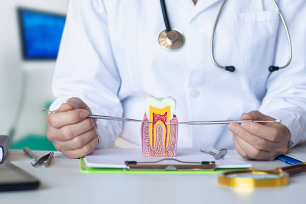 Best Emergency Treatment for Toothache in Houston, AK